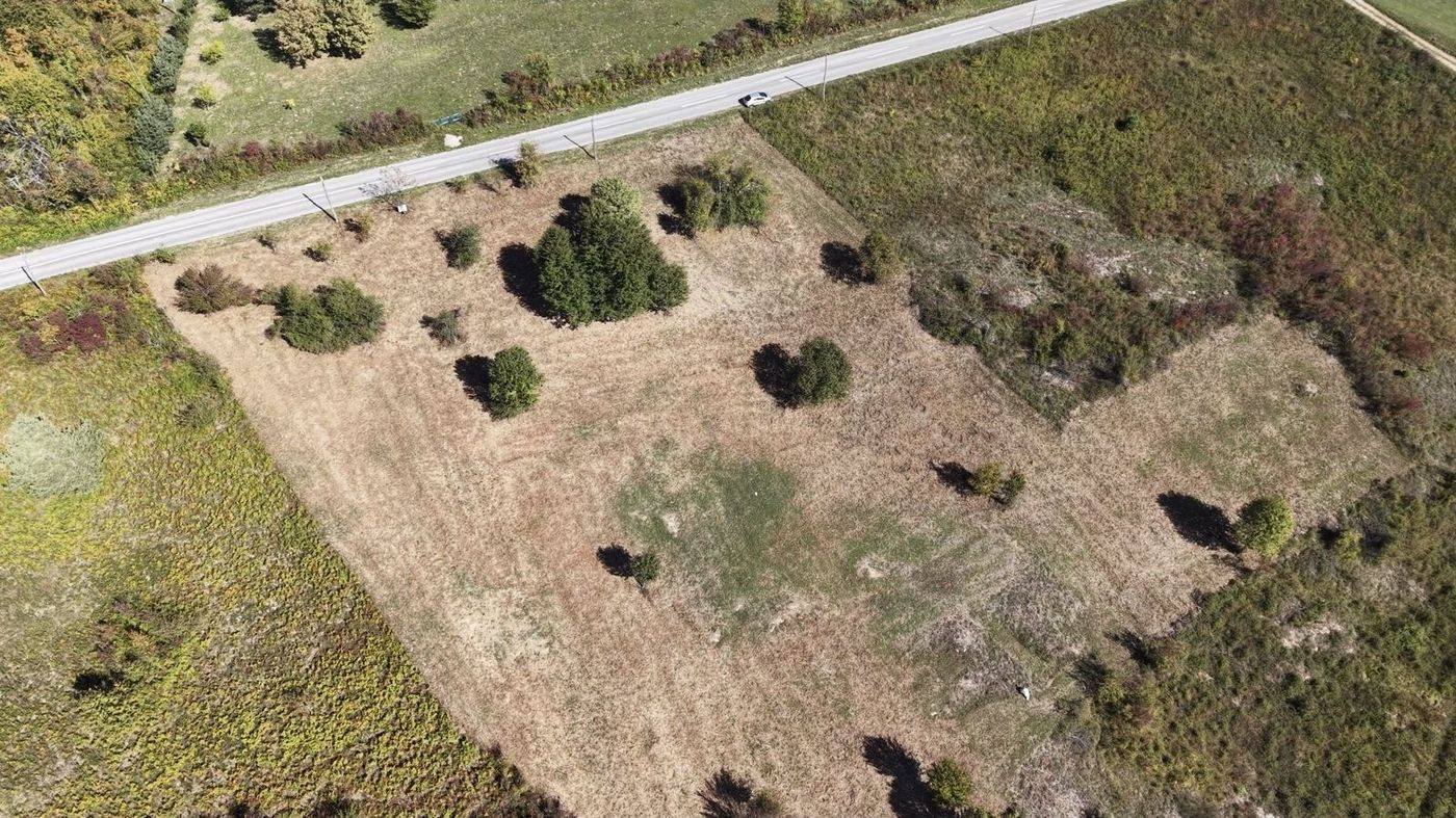 The land from above today: open meadow with shrubs next to a road