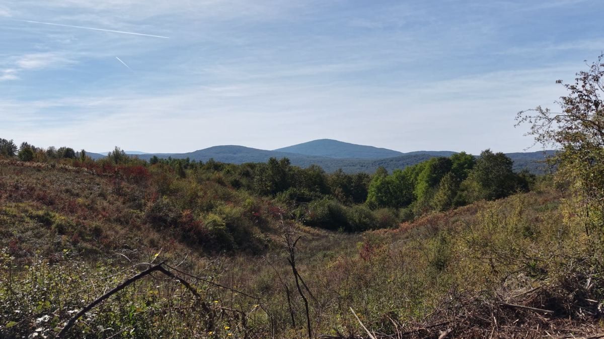 Drone view from the planned studio spot across the valley to the hills